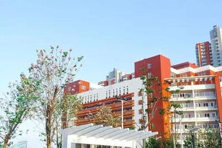 真羡慕你们可以来泉州读大学