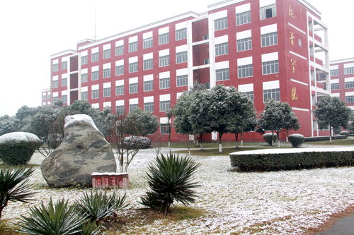 蓬溪中职数字媒体应用技术好不好就业