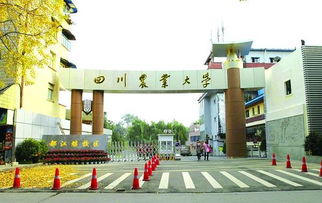 颜值 家底 才气全都有 这绝壁是全成都最牛的一份简历