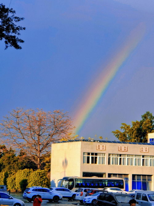 四川机电职业技术学院与四川职业技术学院联合招生 33个专业900个学位等你来