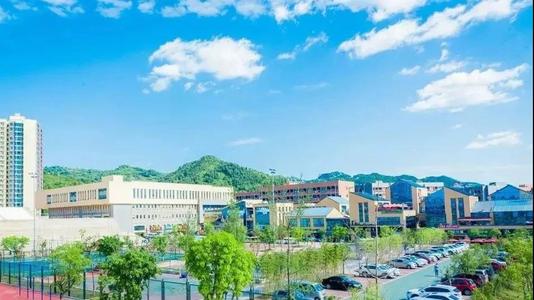 河南地区最权威的国家重点新闻网站与四川职业技术学院 跨域教育合作新视野