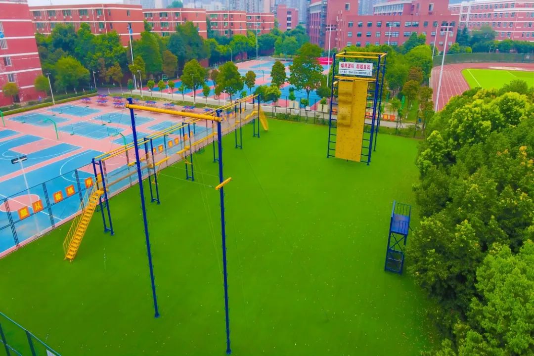 四川2024年单招指南 探索四川托普信息技术职业学院与四川职业技术学院的特色与优势